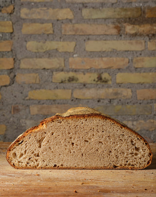 Pane Evolutivo