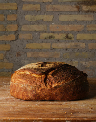 Pane Grano Duro