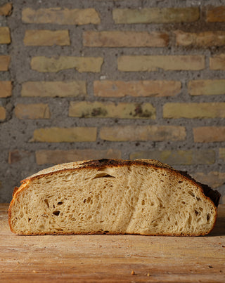 Pane Grano Duro